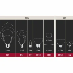 Paulmann Ampoule bougie LED E14 4,7W 2.500K or, intensité variable| Lampes Led À Intensité Variable|Ampoules Led