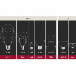 Paulmann Ampoule flamme LED E14 2,6 W 2 500 K or torsadée| Ampoules Led E14|Ampoules Led