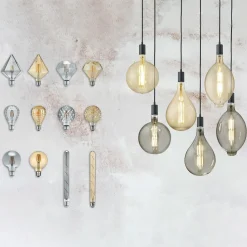 Trio Lighting Ampoule globe LED E27 6 W 2 700 K ambre| Ampoules Filament|Ampoules Filament