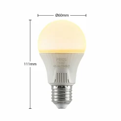 PRIOS Ampoule LED E27 A60 11 W blanc 2 700 K x10| Ampoules Led E27|Ampoules Led