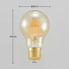 Arcchio Ampoule LED E27 A60 6,5 W 2 500 K ambre| Lampes Led À Intensité Variable|Ampoules Led
