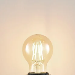 Arcchio Ampoule LED E27 A60 6,5 W 2 500 K ambre| Lampes Led À Intensité Variable|Ampoules Led