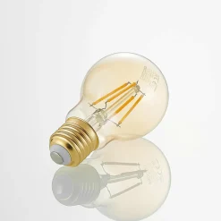 Arcchio Ampoule LED E27 A60 6,5 W 2 500 K ambre| Lampes Led À Intensité Variable|Ampoules Led