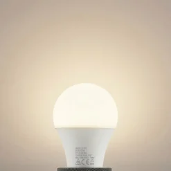 Arcchio Ampoule LED E27 A60 9,5 W 3 000 K opale x2| Ampoules Led E27|Ampoules Led