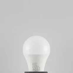 Arcchio Ampoule LED E27 A60 9,5 W 3 000 K opale x2| Ampoules Led E27|Ampoules Led