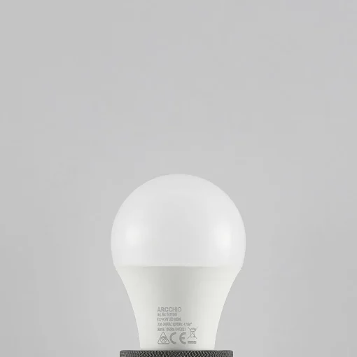 Arcchio Ampoule LED E27 A60 9,5 W 3 000 K opale x2| Ampoules Led E27|Ampoules Led
