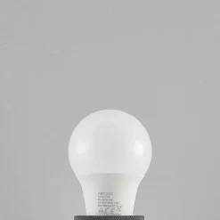 Arcchio Ampoule LED E27 A60 4,9 W 3 000 K opale x3| Ampoules Led E27|Ampoules Led
