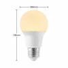 Arcchio Ampoule LED E27 A60 4,9 W 3 000 K opale x10| Ampoules Led E27|Ampoules Led