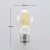 Arcchio Ampoule LED E27 A60 6,5 W 2 700 K transparente| Lampes Led À Intensité Variable|Ampoules Led