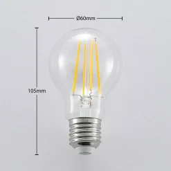 Arcchio Ampoule LED E27 A60 6,5 W 2 700 K transparente| Lampes Led À Intensité Variable|Ampoules Led