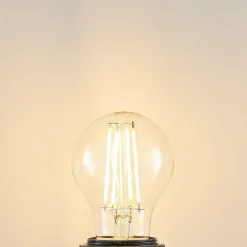 Arcchio Ampoule LED E27 A60 6,5 W 2 700 K transparente| Lampes Led À Intensité Variable|Ampoules Led