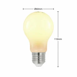 Arcchio Ampoule LED E27 6W 2 700 K dimmable opale, 2x| Lampes Led À Intensité Variable|Ampoules Led
