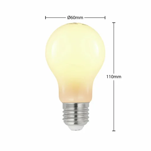 Arcchio Ampoule LED E27 6W 2 700 K dimmable opale, 2x| Lampes Led À Intensité Variable|Ampoules Led