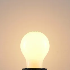 Arcchio Ampoule LED E27 6W 2 700 K dimmable opale, 2x| Lampes Led À Intensité Variable|Ampoules Led