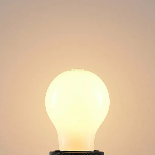 Arcchio Ampoule LED E27 6W 2 700 K dimmable opale, 2x| Lampes Led À Intensité Variable|Ampoules Led