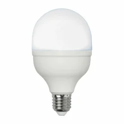 STAR TRADING Ampoule LED E27 20 W 6 500 K 2 700 lumens, ronde| Ampoules Led E27|Ampoules Led