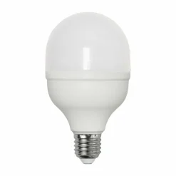 STAR TRADING Ampoule LED E27 20 W 6 500 K 2 700 lumens, ronde| Ampoules Led E27|Ampoules Led