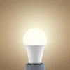 Arcchio Ampoule LED, opale, E27, A60, 8,2W, 2700K, 1521 lumens| Ampoules Led E27|Ampoules Led