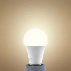 Arcchio Ampoule LED, opale, E27, A60, 8,2W, 2700K, 1521 lumens| Ampoules Led E27|Ampoules Led