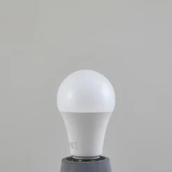 Arcchio Ampoule LED, opale, E27, A60, 8,2W, 2700K, 1521 lumens| Ampoules Led E27|Ampoules Led