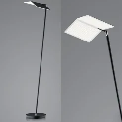 BANKAMP Book 2.0 lampadaire LED, ZigBee, noir| Lampadaires Led|Lampadaires