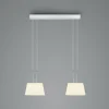 BANKAMP Conus Suspension LED, à 2 lampes, nickel| Suspensions Led|Suspensions