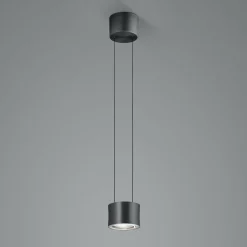 BANKAMP Impulse Flex suspension LED 1 lampe noire| Suspensions Led|Suspensions