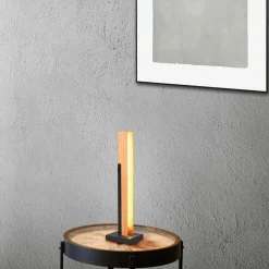 Trio Lighting Lampe de table LED Kerala avec variateur tactile| Lampes À Poser Led|Lampes À Poser Et Lampes De Table