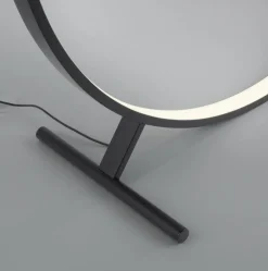 Paul Neuhaus Lampe sur pied LED Hula CCT avec télécommande Ø 100cm| Lampadaires Led|Lampadaires