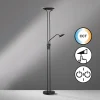 FISCHER & HONSEL Lampe sur pied LED Tallri, noir, 180 cm, à 2 lampes, métal, CCT| Lampadaires Led|Lampadaires