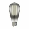 LUUMR Smart LED ST64 gris E27 4,9 W Philips Hue ZigBee Tuya| Ampoules Connectées Et Intelligentes|Ampoules Connectées Et Intelligentes