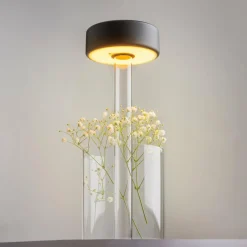 Maytoni lampe de table LED rechargeable AI Collaboration, verre, noir| Lampes À Poser Led|Lampes À Poser Et Lampes De Table