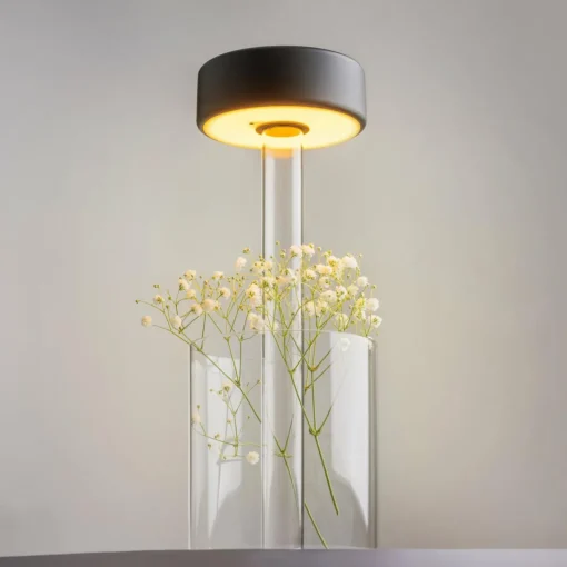 Maytoni lampe de table LED rechargeable AI Collaboration, verre, noir| Lampes À Poser Led|Lampes À Poser Et Lampes De Table