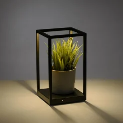 Paul Neuhaus Contura lampe à poser LED en noir| Lampes À Poser Led|Lampes À Poser Et Lampes De Table