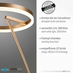 Paul Neuhaus Lampe sur pied LED Titus, laiton, métal, intensité variable| Lampadaires Led|Lampadaires