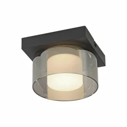 Paul Neuhaus Plafonnier LED Rika, Ø 15 cm, verre, intensité variable| Plafonniers Led|Plafonniers