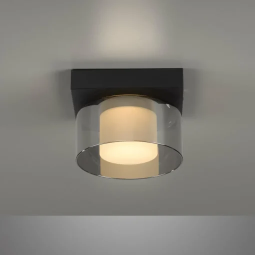 Paul Neuhaus Plafonnier LED Rika, Ø 15 cm, verre, intensité variable| Plafonniers Led|Plafonniers