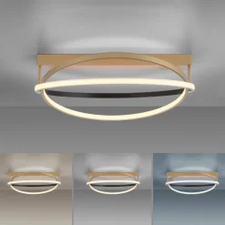Q-Smart-Home Paul Neuhaus Q-Beluga plafonnier LED, laiton| Plafonniers Led|Plafonniers