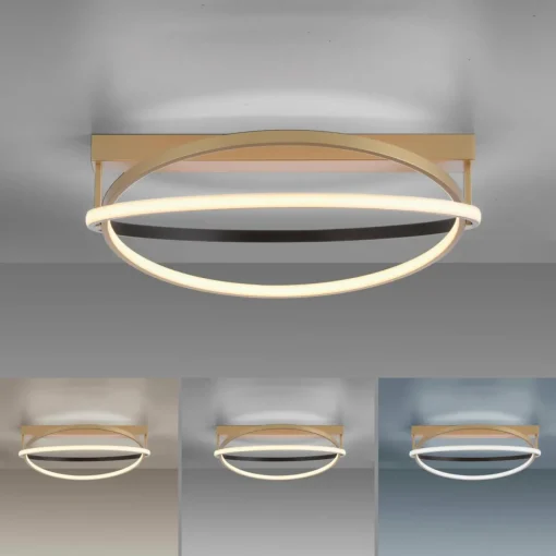 Q-Smart-Home Paul Neuhaus Q-Beluga plafonnier LED, laiton| Plafonniers Led|Plafonniers