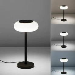 Q-Smart-Home Paul Neuhaus Q-ETIENNE lampe à poser LED, noire| Lampes À Poser Led|Lampes À Poser Et Lampes De Table