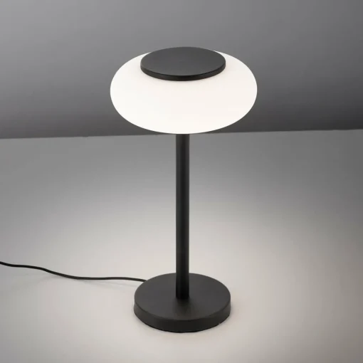 Q-Smart-Home Paul Neuhaus Q-ETIENNE lampe à poser LED, noire| Lampes À Poser Led|Lampes À Poser Et Lampes De Table
