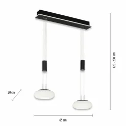Q-Smart-Home Paul Neuhaus Q-ETIENNE suspension LED, x2, noire| Suspensions Led|Suspensions