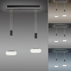 Q-Smart-Home Paul Neuhaus Q-ETIENNE suspension LED, x2, noire| Suspensions Led|Suspensions