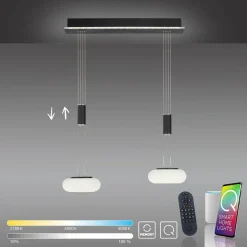 Q-Smart-Home Paul Neuhaus Q-ETIENNE suspension LED, x2, noire| Suspensions Led|Suspensions