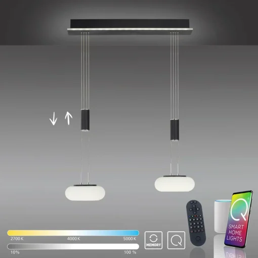 Q-Smart-Home Paul Neuhaus Q-ETIENNE suspension LED, x2, noire| Suspensions Led|Suspensions