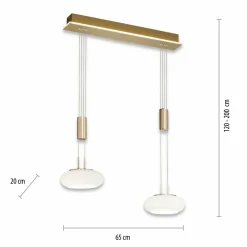 Q-Smart-Home Paul Neuhaus Q-ETIENNE suspension LED, x2, laiton| Suspensions Led|Suspensions