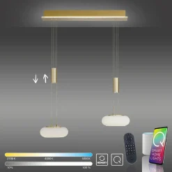 Q-Smart-Home Paul Neuhaus Q-ETIENNE suspension LED, x2, laiton| Suspensions Led|Suspensions