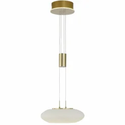 Q-Smart-Home Paul Neuhaus Q-ETIENNE suspension LED, x1, laiton| Suspensions Led|Suspensions