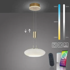 Q-Smart-Home Paul Neuhaus Q-ETIENNE suspension LED, x1, laiton| Suspensions Led|Suspensions