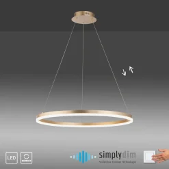Paul Neuhaus Suspension LED Titus, Ø 80 cm, laiton, intensité variable| Suspensions Led|Suspensions
